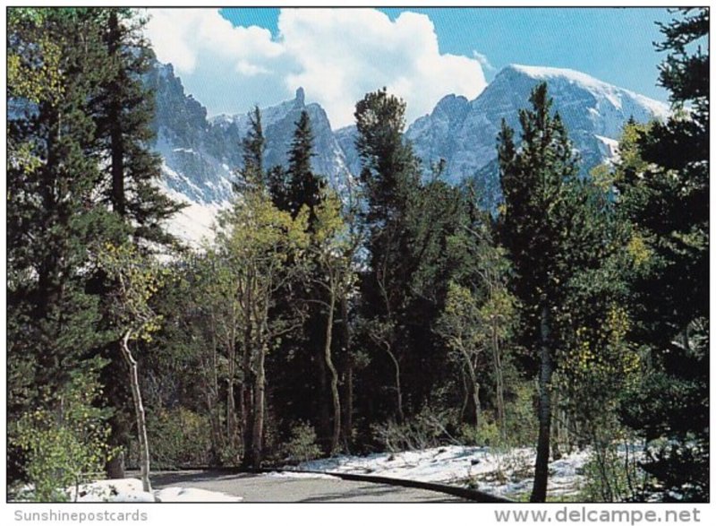 Wheeler Peak Campground Great Bain National Park Nevada