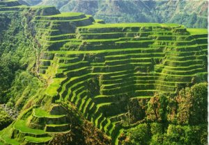 PC PHILIPPINES, BANAUE RICE TERRACES, Modern Postcard (b43106)