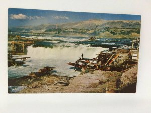 Indians Salmon Fishing Postcard Celilo Falls Oregon Columbia River