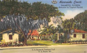 Riverside Court Motel US Route 41 Tamiami Trail Palmetto Florida linen postcard