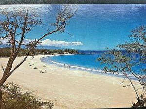 Postcard Gentle Surf on the White Sands of Mauna Kea, HA,     U5