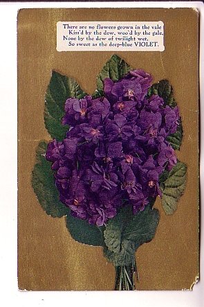 Violet Poem, Used 1909, Split Ring Cancel, Strathmore, Alberta