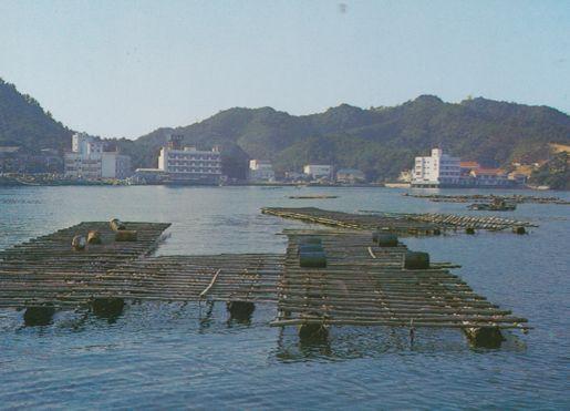 Pearl Raft on Toba Bay Japan Japanese Postcard