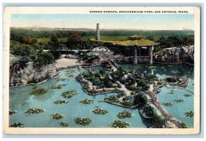 1921 Sunken Garden Brackenridge Park San Antonio Texas TX Vintage Postcard