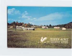 Postcard Pedden Acres For Country Living Springfield Vermont USA
