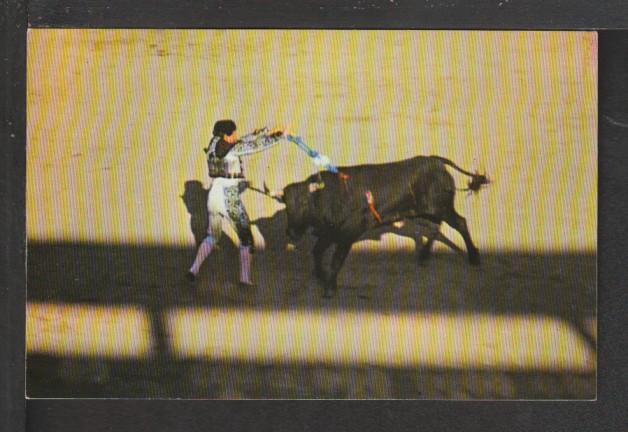 Bull Fighter Postcard 