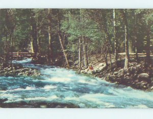 Pre-1980 NATURE SCENE Yosemite Park - Near Stockton & Modesto CA AD3263@