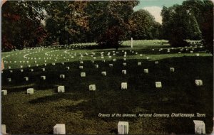 Graves of the Unknown National Cemetery Chattanooga TN Postcard PC519
