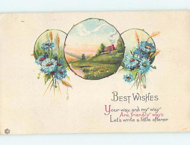 Divided-Back BEAUTIFUL BLUE FLOWERS AND COUNTRY SCENE o8781