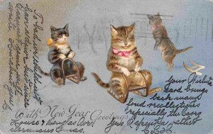 Kittens Cats Snow Sleds Happy New Year Greetings 1905 postcard