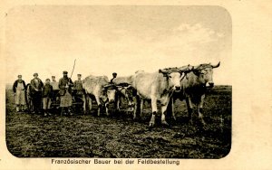 French Farmer Tilling the Fields