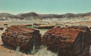 Vintage Postcard 1930's View of Agatized Logs Petrified Forest Arizona AZ