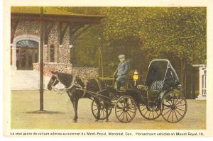 Voiture du Mont-Royal, Montreal. Canada. Horse Vintage Canada PC