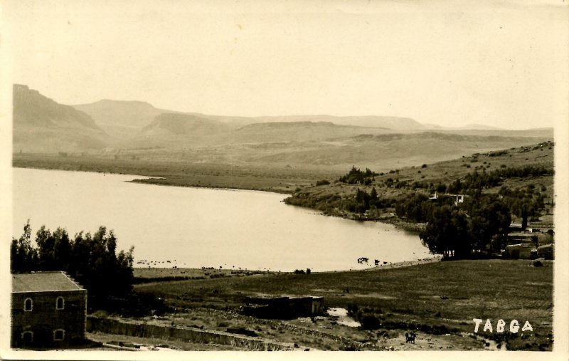 Israel - Tabga (Tabgha) on the Shore of the Sea of Galilee   *RPPC