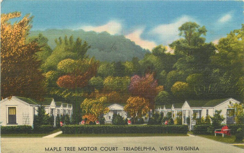 West Virginia Triadelphia Maple Tree Motor Ct roadside Howard  postcard 22-10019