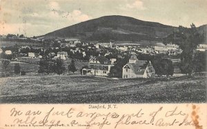 Bird's Eye View in Stamford, New York