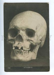 202545 BEETHOVEN Great COMPOSER Skull Vintage postcard