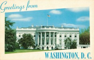 Greetings from Washington D.C. The White House Postcard