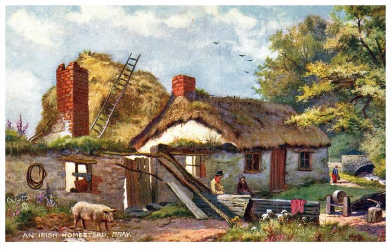 Ireland     Irish Homestead