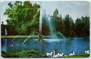 M-64001 Duck Pool Forest Lawn Memorial-Park Glendale California