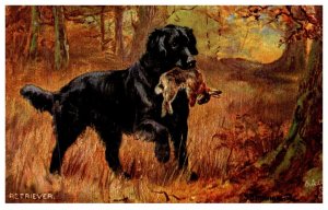 Dog , Retriver with killed rabbit , artist signed
