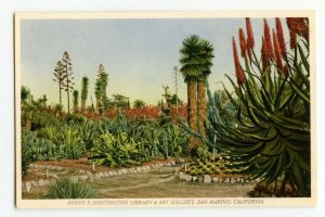 Postcard Henry E. Huntington Library Art Gallery San Marino CA Standard View #2