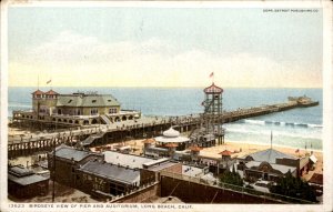 Long Beach Island CA Pier & Auditorium Birdseye View c1900-20s Vintage Postcard