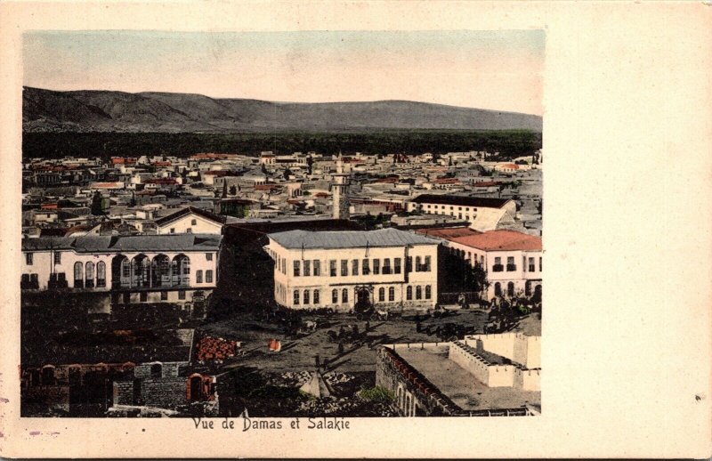 Vue De Damas Salakie Antique Postcard UDB UNP Unused  