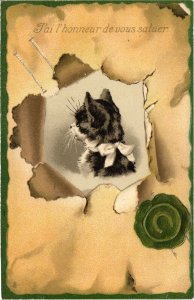 PC CATS, J'AI L'HONNEUR DE VOUS SALUER, Vintage EMBOSSED Postcard (b46710)