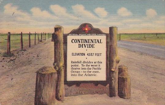 Continental Divide Between Deming and Lordsburg New Mexico 1953 Curteich