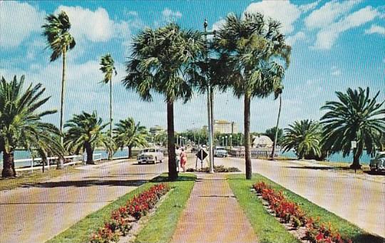 Florida Saint Petersburg Tropical Memorial Causeway Between Clearwater And It...