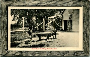 Vtg Postcard 1911 Mankato Minnesota MN Deer Park at Sibley Faux Wood Frame