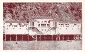 ARNO'S Sea Food Grotto CATALINA ISLAND California c1920s Vintage Postcard