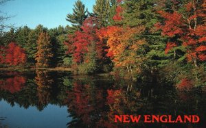 Vintage Postcard Autumn Reflection Peaceful Stream Brilliant Foliage New England