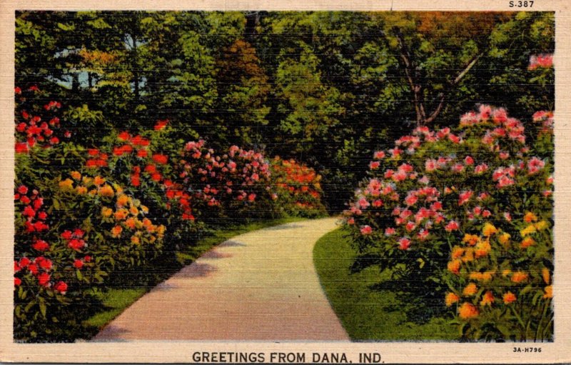 Indiana Greetings From Dana 1948 Curteich