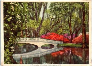 Postcard - Magnolia Gardens - Charleston, South Carolina