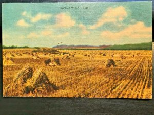 Vintage Postcard 1950 Kansas Wheat Field