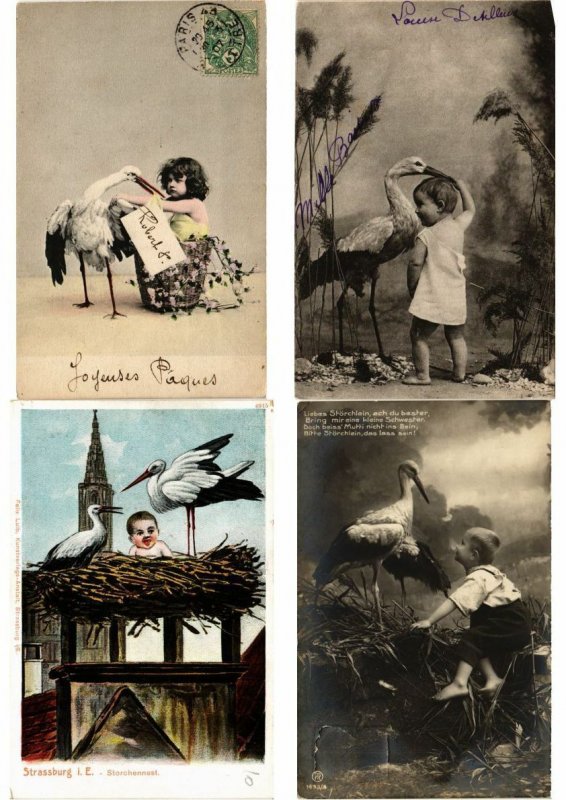 STORKS CIGOGNES Birds 500 Vintage Postcards Mostly pre-1940 (L2840)