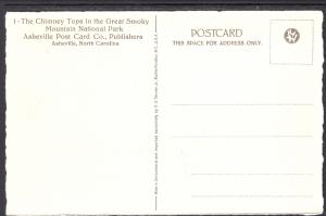 Chimney Tops,Great Smoky Mountain Park