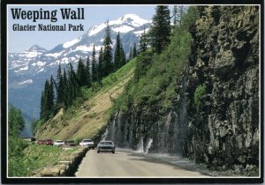 Postcard MT Glacier National Park - Weeping Wall