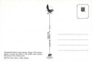 Mendenhall Glacier Mendenhall Glacier, Juneau, Alaska