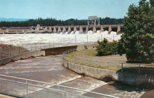 11066-1 Bonneville Dam, Spillway, Fish Ladders, Oregon