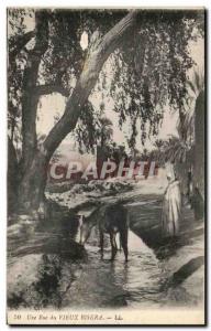 Old Postcard An Old Biskra Algeria Street