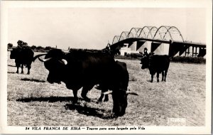 RPPC POSTCARD - VILA FRANCA DE XIRA Portugal Bulls start through the Village JC2