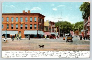 Danbury CT~White Street @ Main~Dog Crosses Street~Stillman Business College~1905