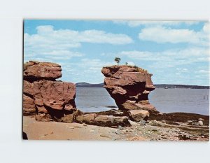 Postcard Pulpit Rock, Passamaquoddy Bay, Maine