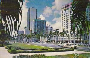 Florida Miami Biscayne Boulevard From Bayfront Park