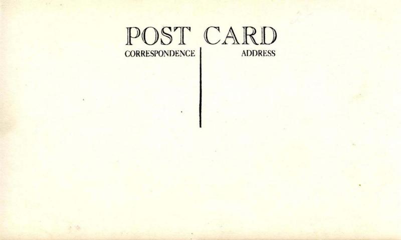 CA - Redwood Highway, The Chandelier Tree - RPPC