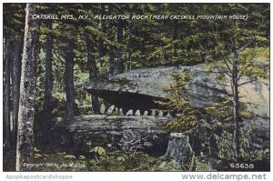 New York Catskill Mountains Aligator Rock