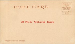 313567-Black Americana, Detroit Photographic No 5738, UDB, 6 Little Children